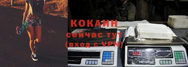 прущие грибы Няндома