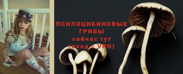 спиды Белоозёрский