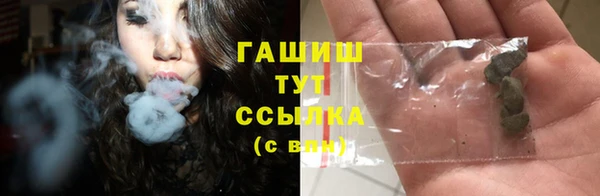 молекула духа Богородицк