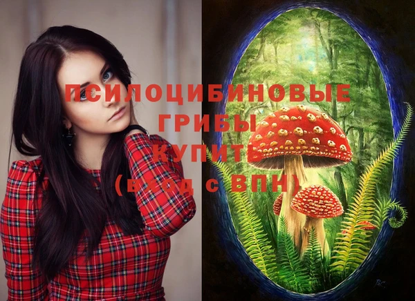 спиды Белоозёрский