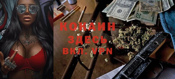 молекула духа Богородицк
