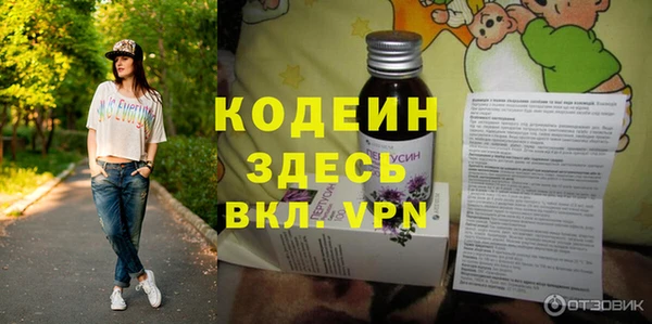 молекула духа Богородицк
