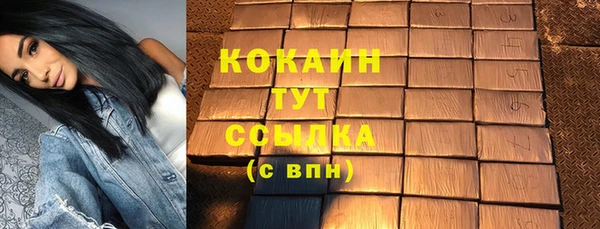 молекула духа Богородицк