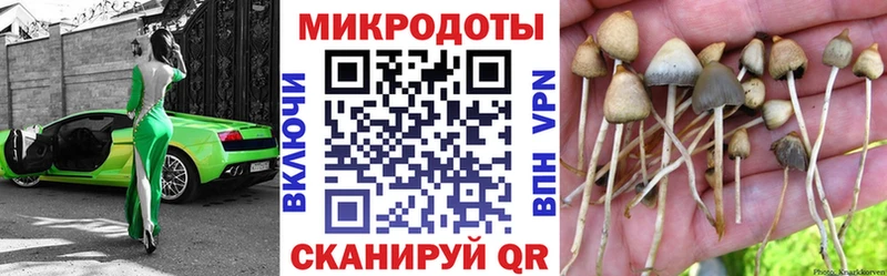 купить закладку  Бугуруслан  Галлюциногенные грибы MAGIC MUSHROOMS 